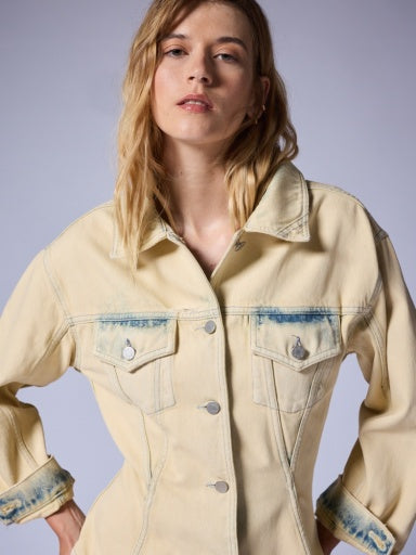 Pick Dumbo Collarless | Burnt Apricot 3x1 NYC